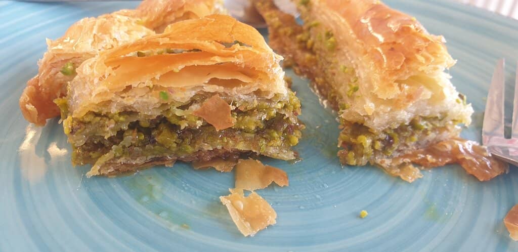 Art Gallery & Library