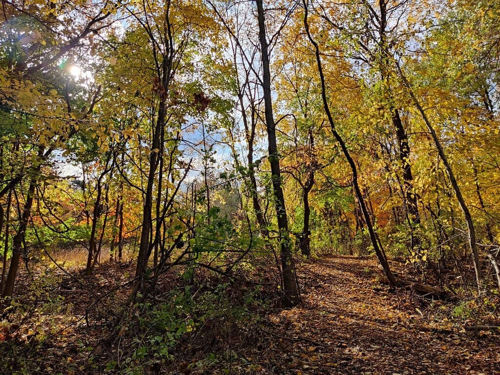 Boardwalk Trails
