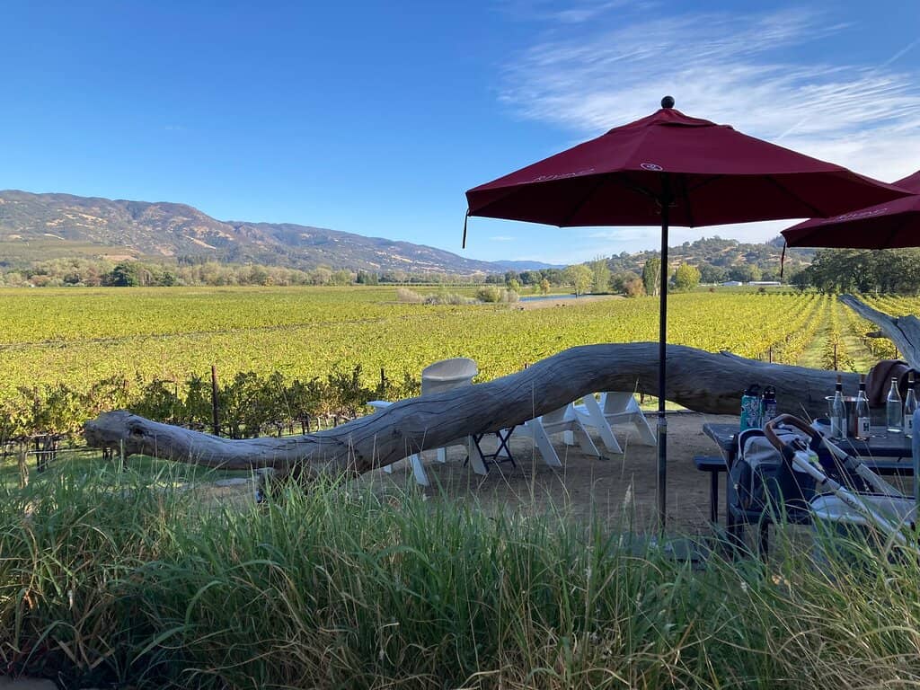 Vineyard Landscapes