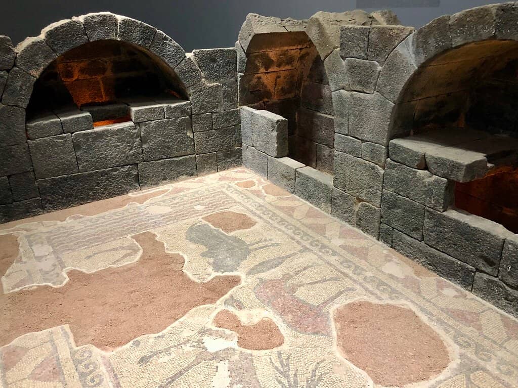 In-Situ Exhibition