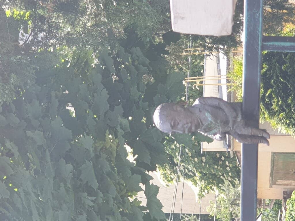 Vertical photo