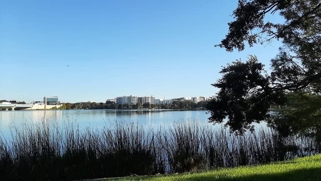 Lake Ivanhoe Views