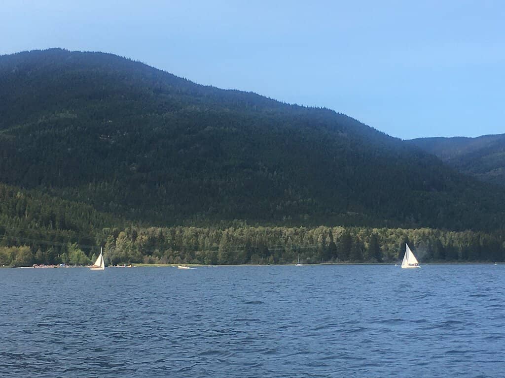 Lush Greenery & Mountains