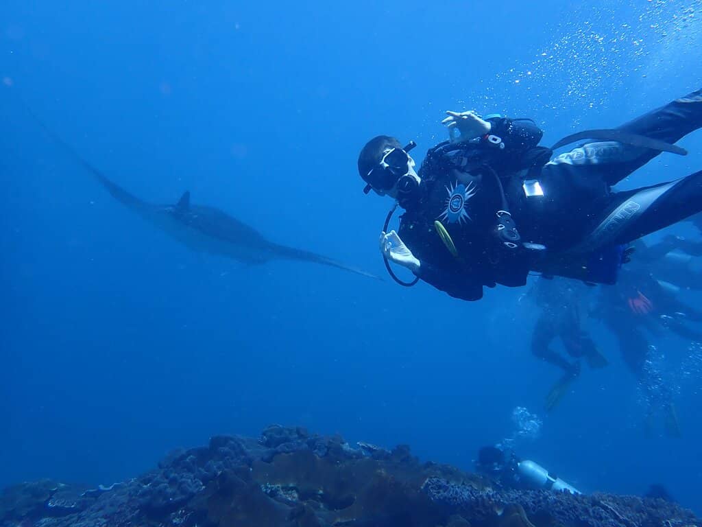 Mangrove River Cruise
