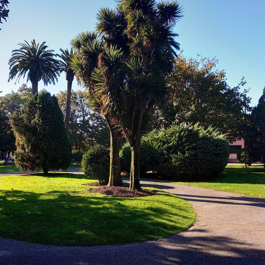 Walking and Jogging Paths