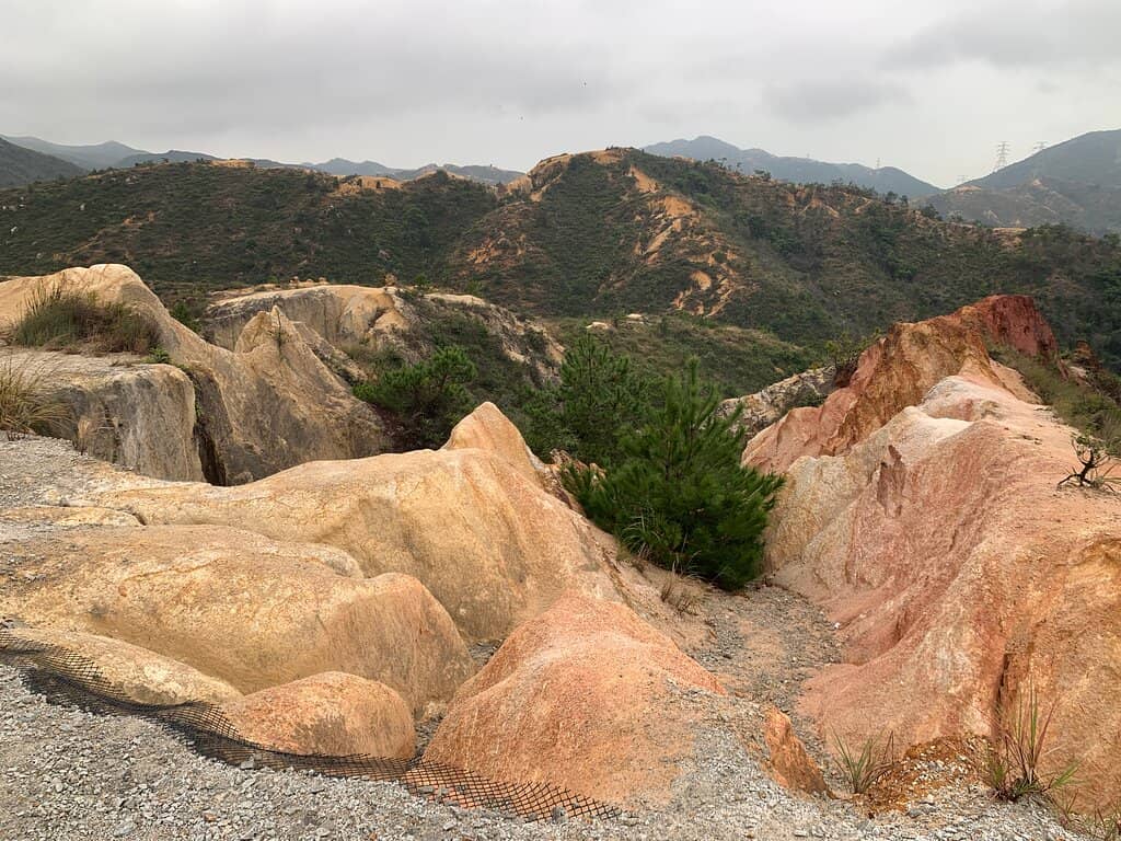 Panoramic City Views