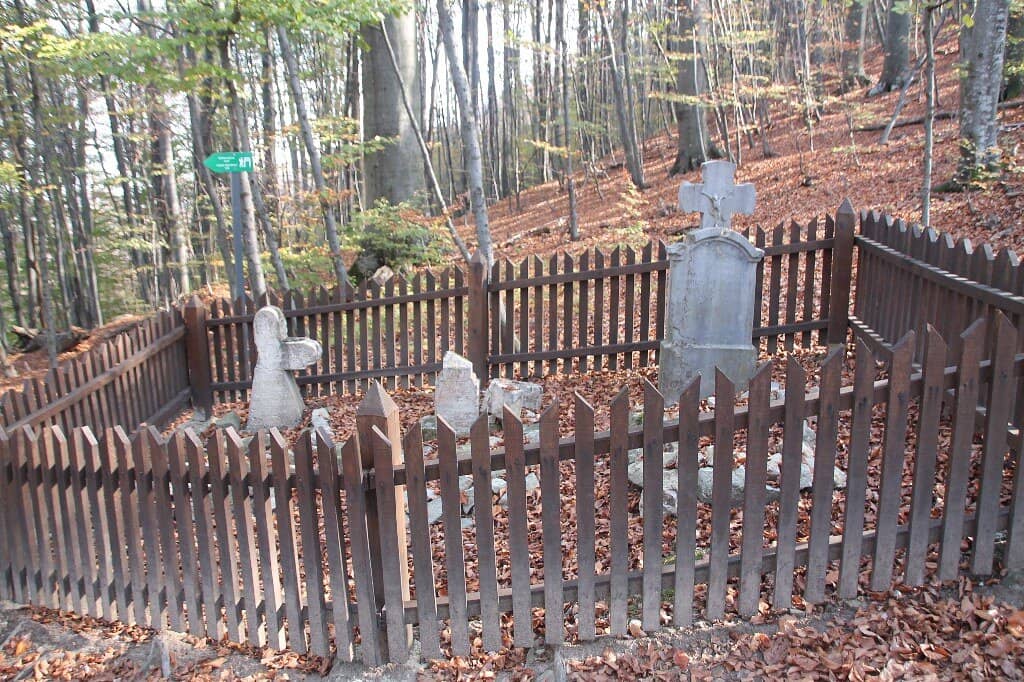 Wild Park Ambiance