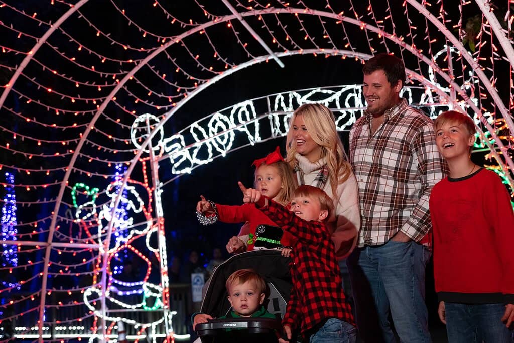 Christmas Light Show Spectacle