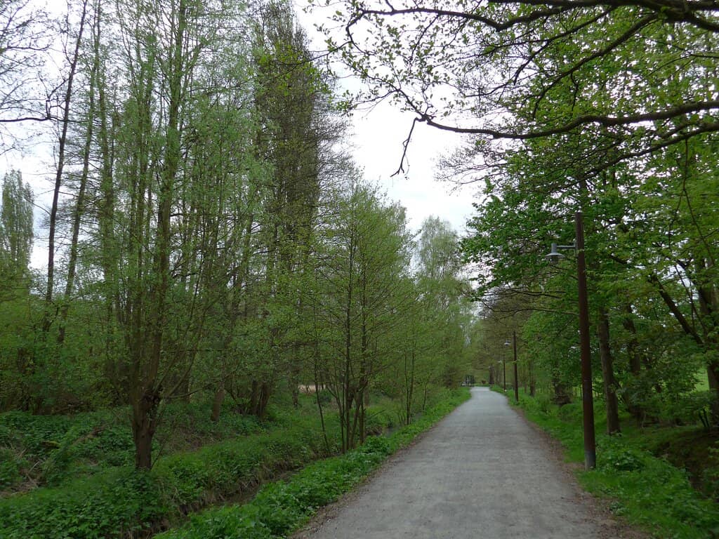 Family-Friendly Atmosphere