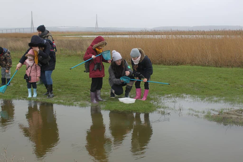 Tidal Mudflat Wonders
