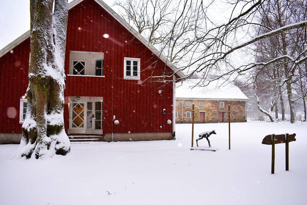 Peaceful Reading Nooks