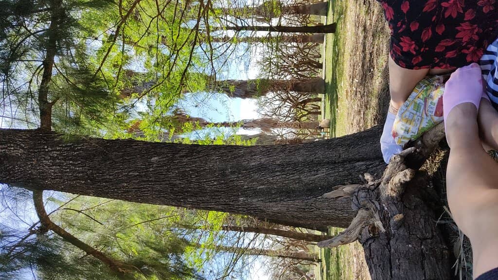 Picnic and Relaxation Spots