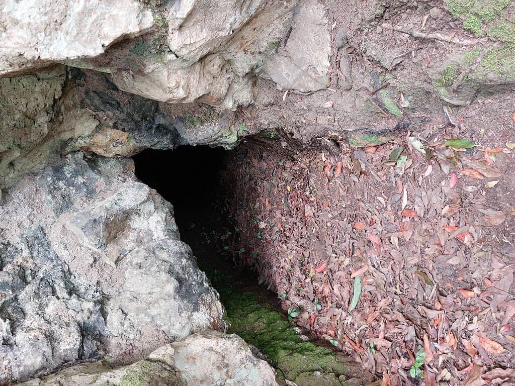 Enchanting Ravine Walk