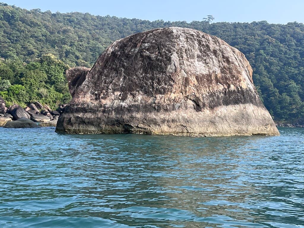 Vertical photo
