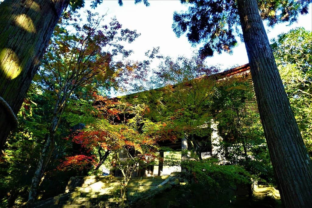 Serene Japanese Garden