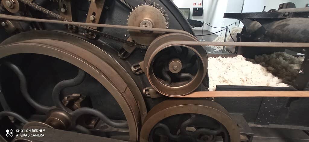 Knowledgeable Guided Tours