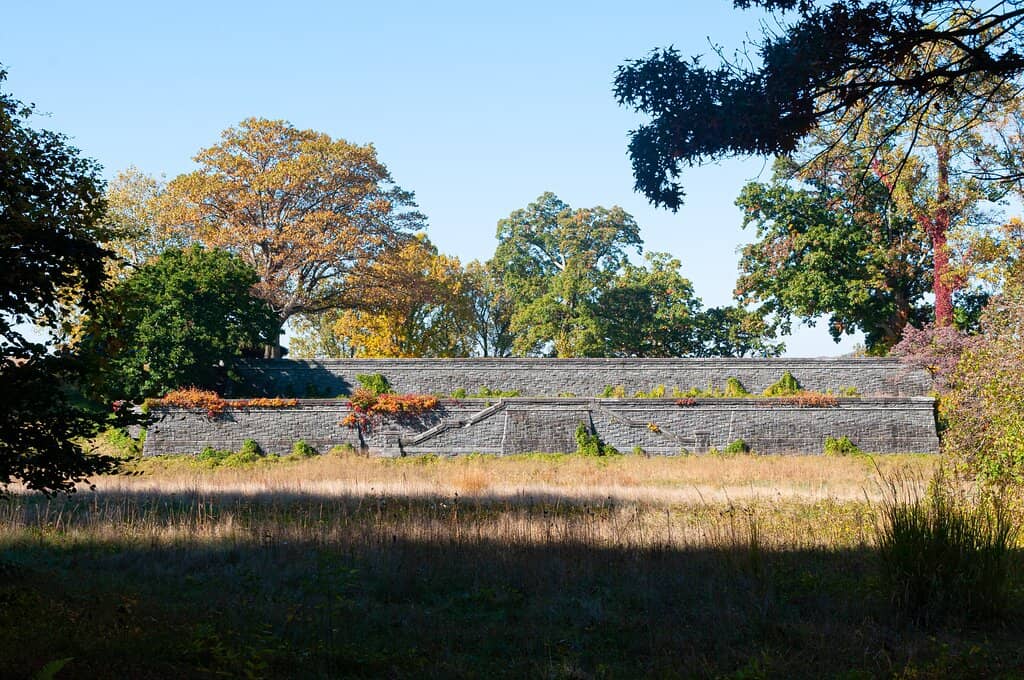 Emerging Artist Showcase