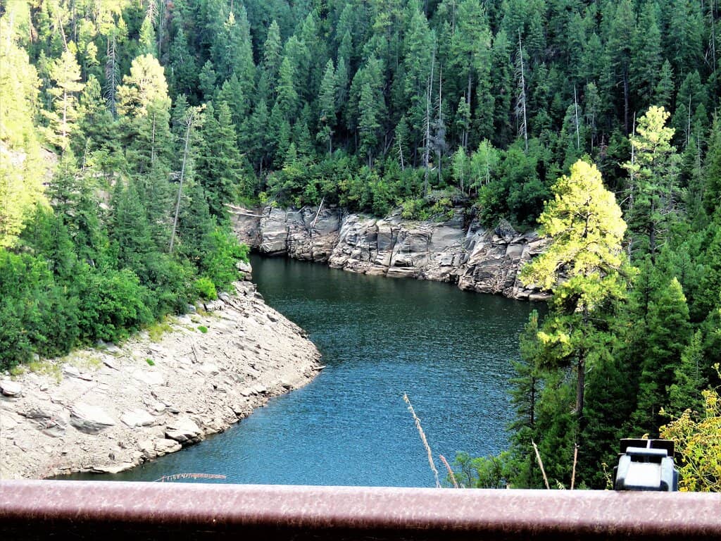 Abundant Wildlife Sightings