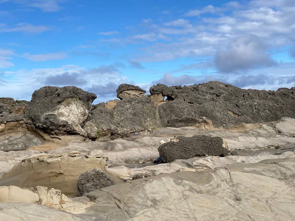 Coconut Trail Stroll