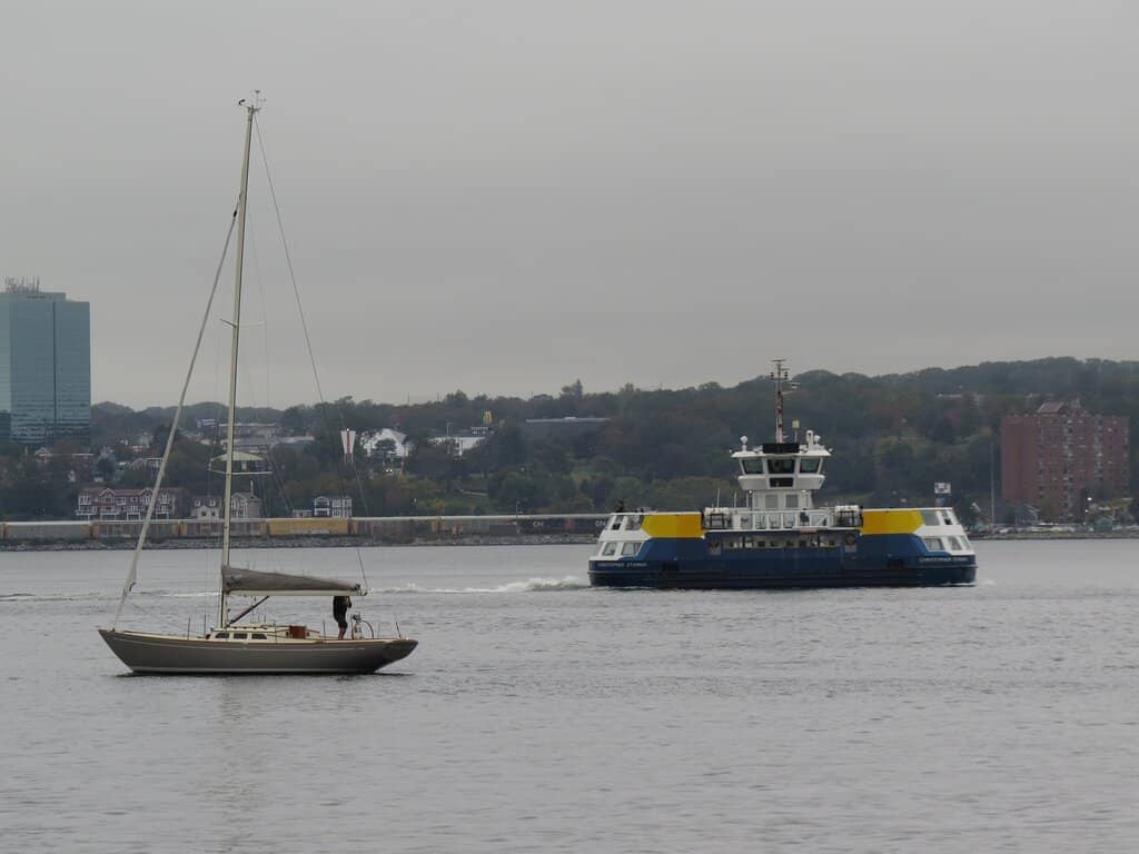 Marine Life Spotting