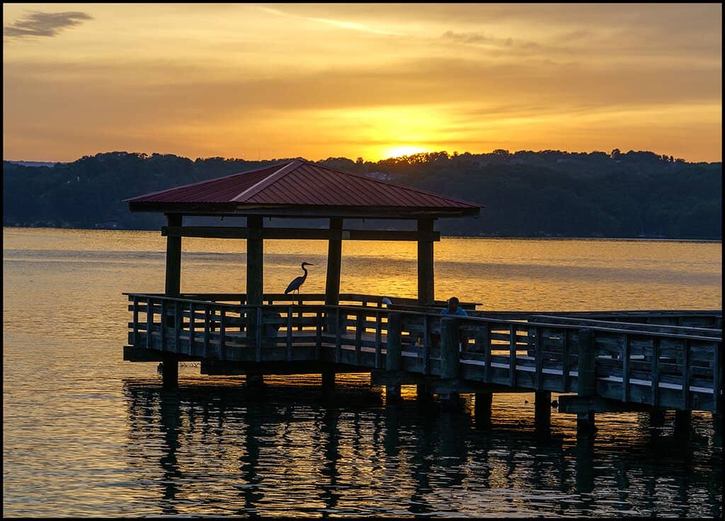 Olympic-Size Swimming Pool
