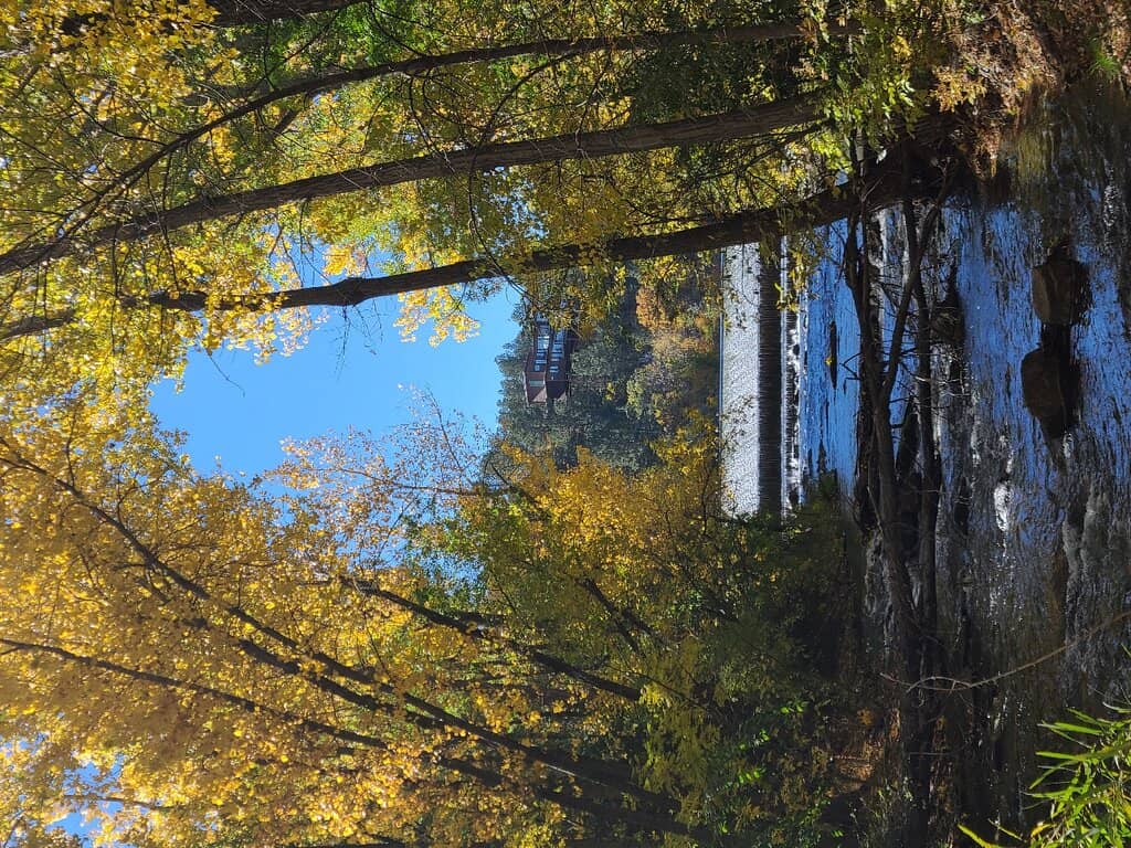 Picnic Areas & Gazebos