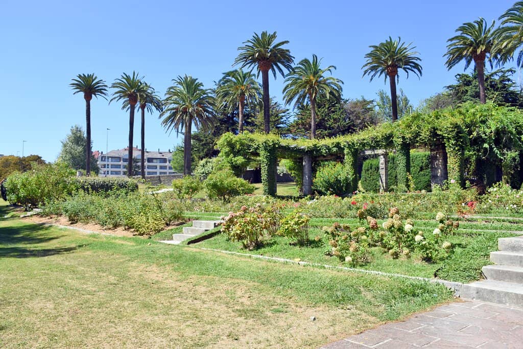 Children's Playground