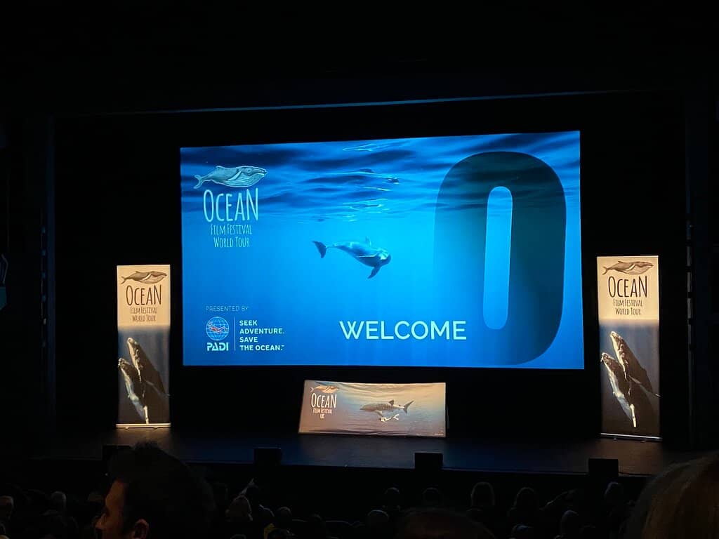 Diverse Theatre Productions