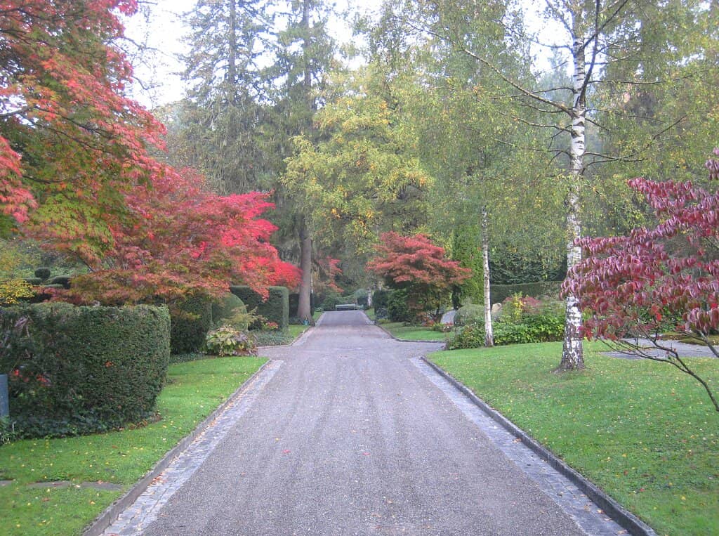 Tranquil Walking Paths