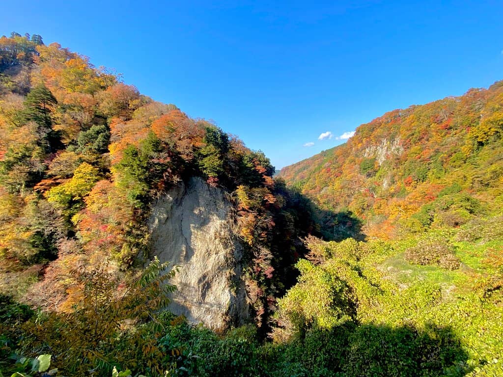 Katsura Chaya Sweets