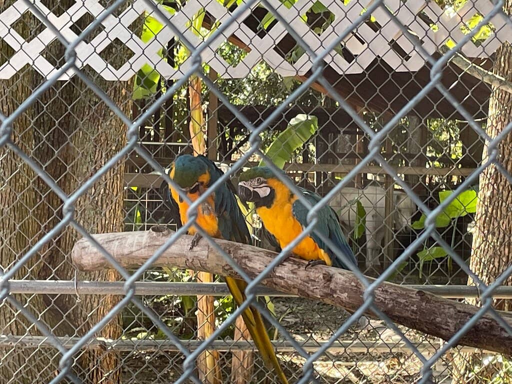 Unique Gift Shop Finds