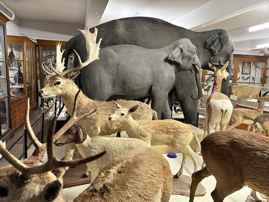 Life-Size Encounters