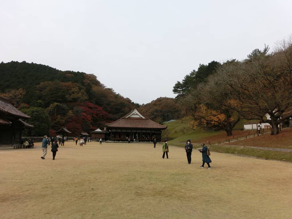 Autumn Foliage Spectacle