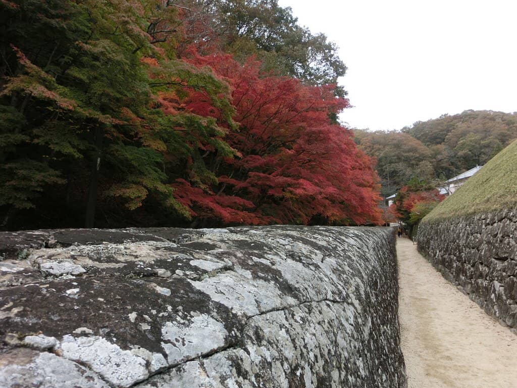 Unique Round-Top Stone Walls