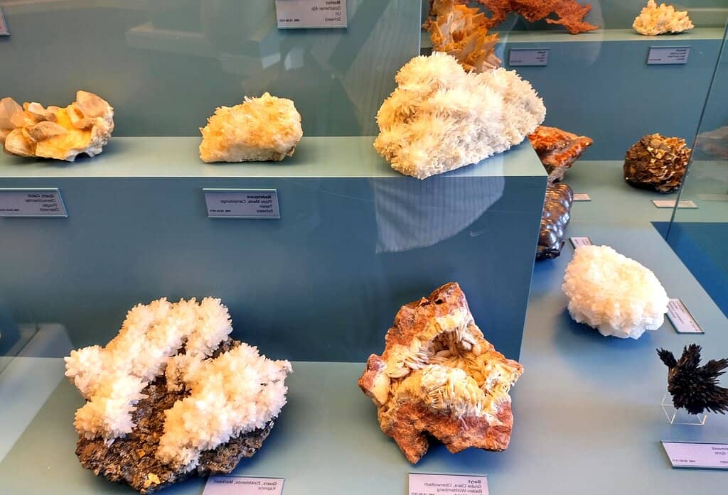 Gold Wasp Collection