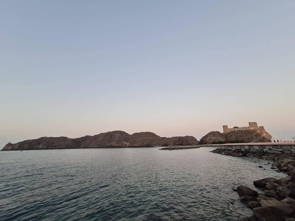 Harbor Views