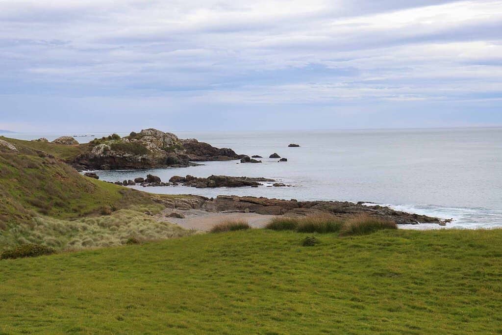 Mores Coastal Loop Track