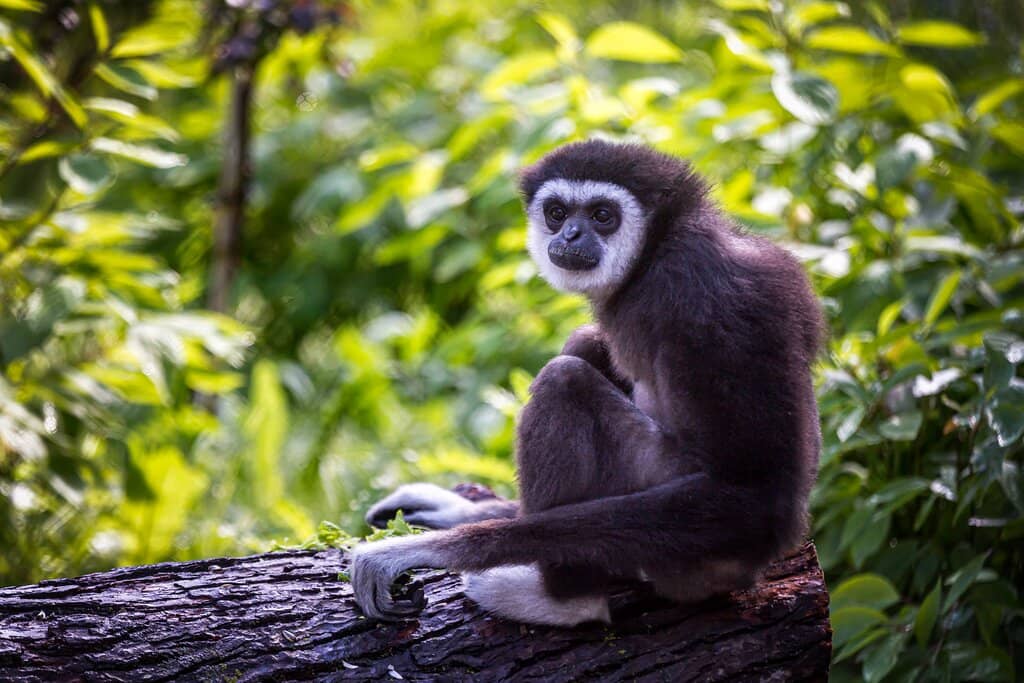 Journey to Churchill