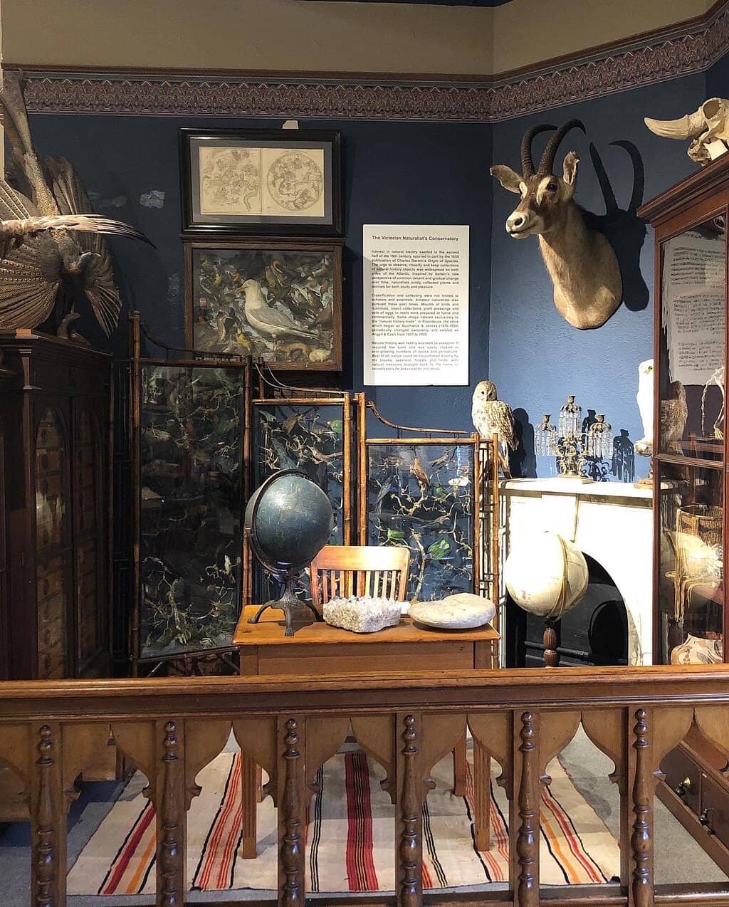 Oceania/Moana Room
