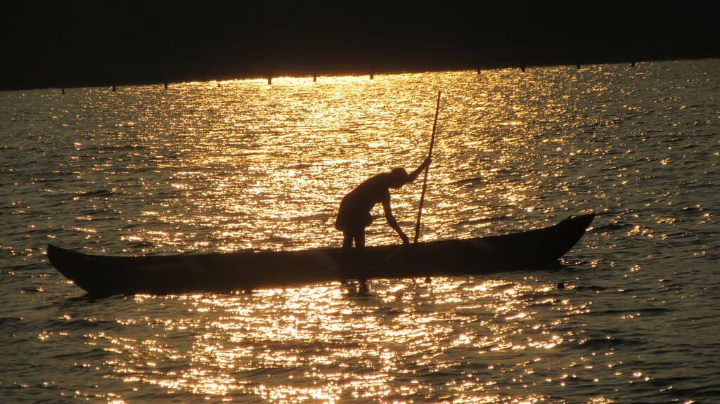 Punchakkari Wetlands