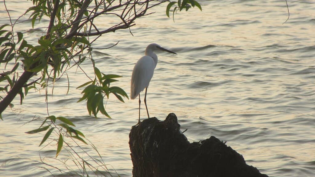 Vavvamoola Sunset Point
