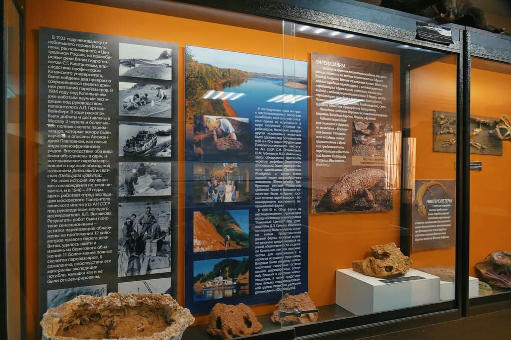 Expert-Led Tours