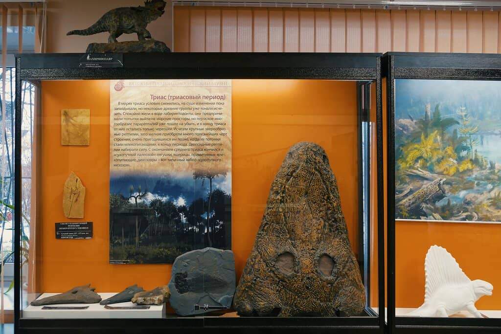 Local Paleontological Finds