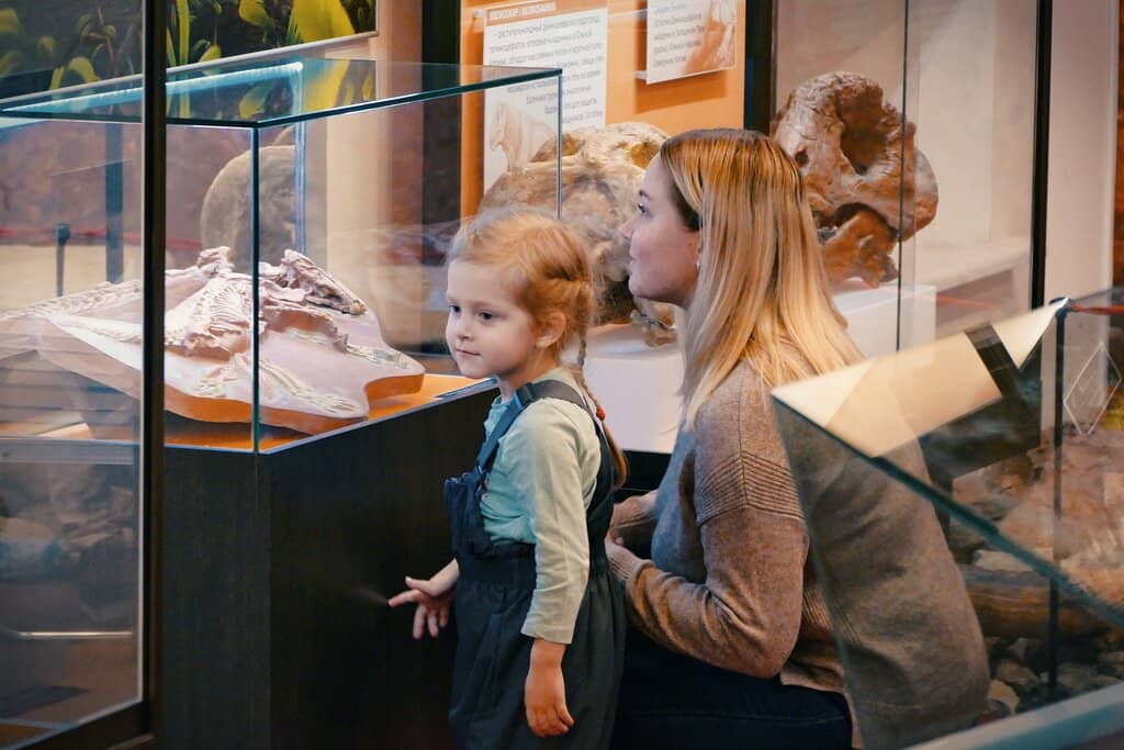 Expert-Led Tours