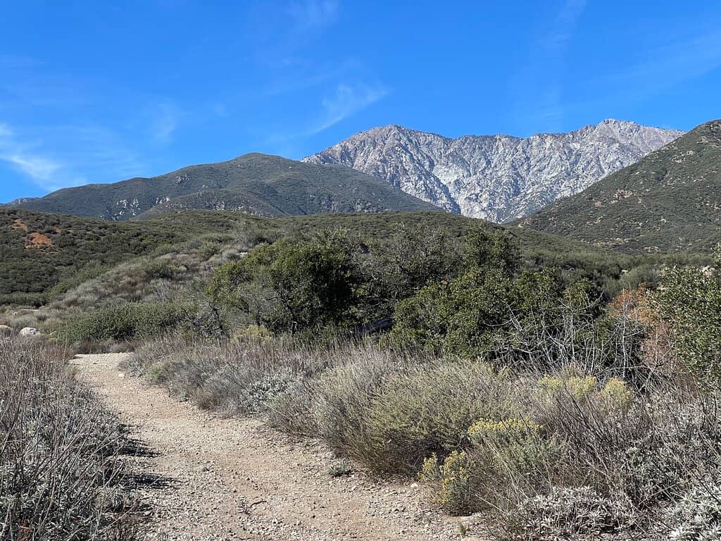 Scenic Uphill Trail