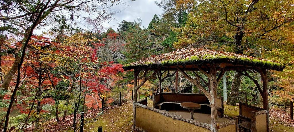 Seasonal Blossoms and Foliage