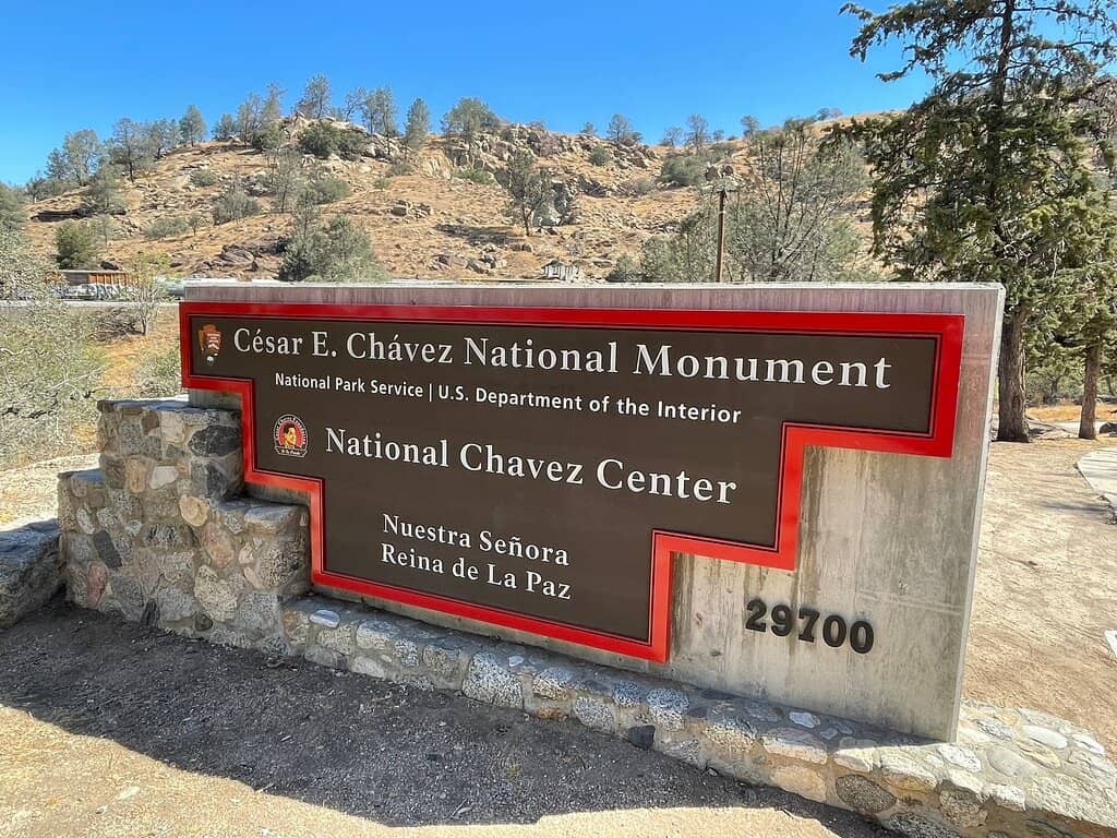 Exhibits and Artwork