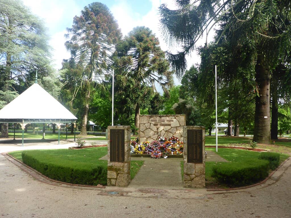 Enchanting Night Lights