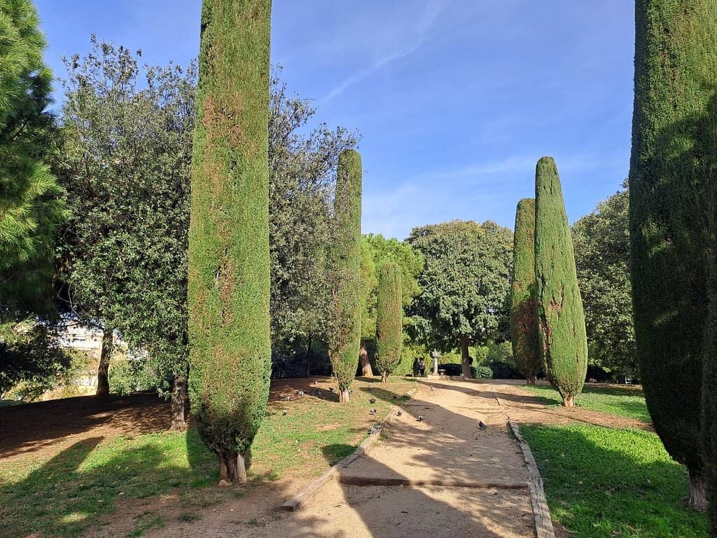 Local Gathering Spot