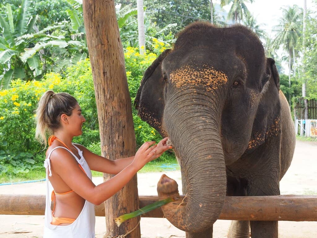 Elephant Bathing Experience